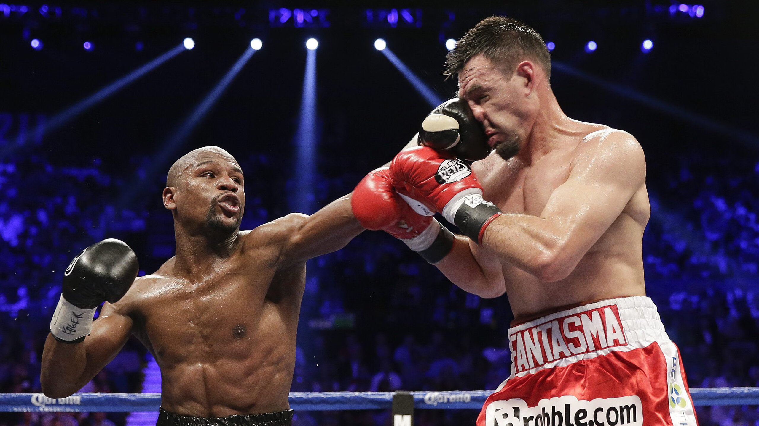 2026世界杯南美球队竞争力分析，世界杯南美区预选赛结果